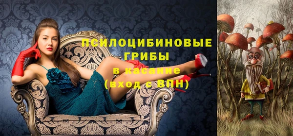 прущие крисы Киренск