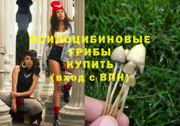 прущие крисы Киренск