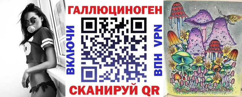 хочу   Камышин  Псилоцибиновые грибы Psilocybine cubensis 