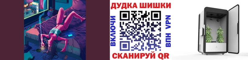 Каннабис VHQ  мега вход  Камышин  где купить наркоту 
